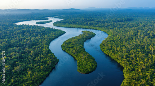 Fototapeta Naklejka Na Ścianę i Meble -  Aerial View of a Winding River Through Lush Green Rainforest