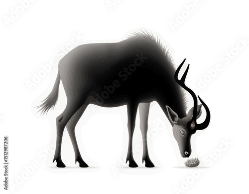 Monochrome Wildebeest Grazing