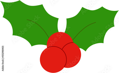 크리스마스 열매