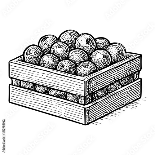 Crate of Cranberries