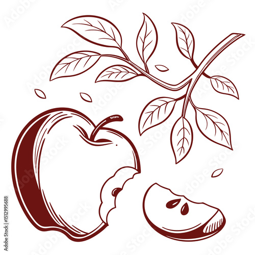 Apple Iconic worldwide enjoyed fresh or in juices, pies, and snacks