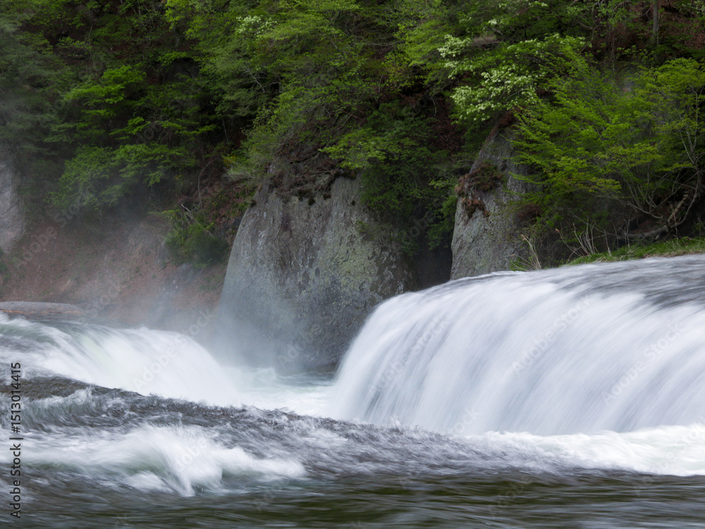 Obraz premium waterfall in the forest