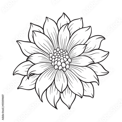 Realistic Dahlia Flower Coloring Page