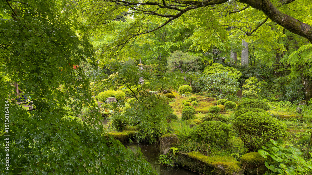 Obraz premium Kyoto Sanzen-in Temple