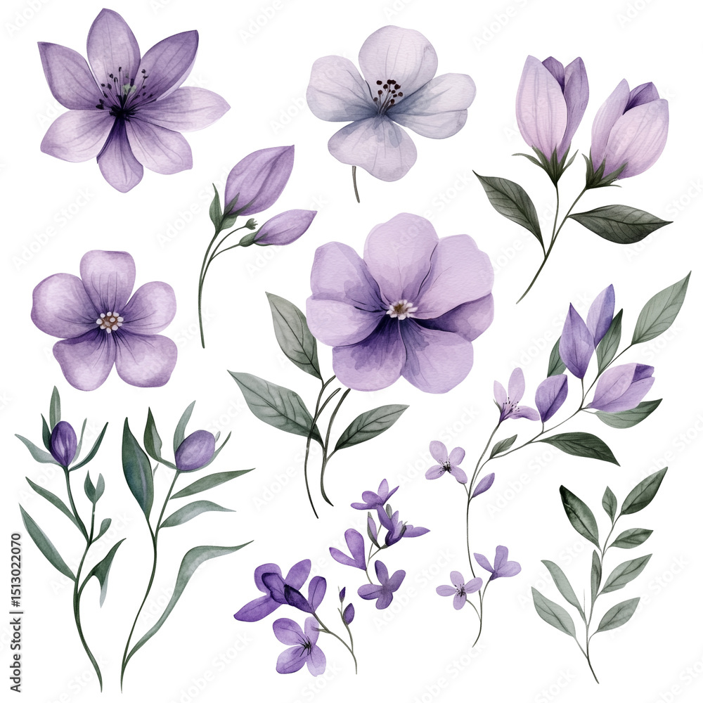 Obraz premium A set of hand-drawn watercolor flowers, featuring a soft purple hue and natural green leaves, isolated on a transparent background (18)