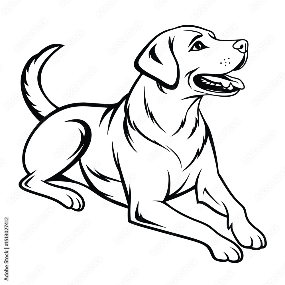 Fototapeta premium Labrador Retriever Dog vector on white background