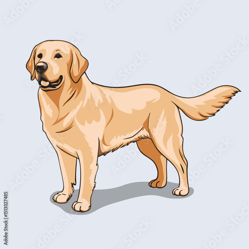 Smiling Yellow Labrador Dog Clipart – Pet Animal Vector
