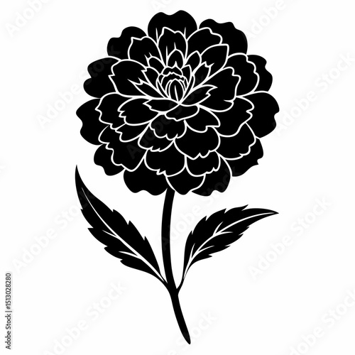 Merigold flower vector silhouette art