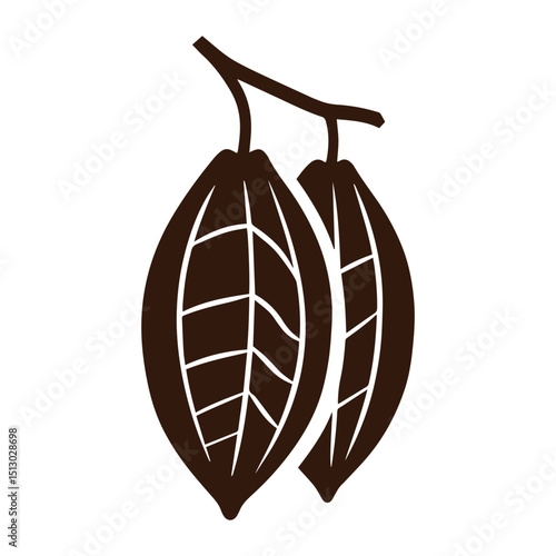 cocoa beans illsutartion simple