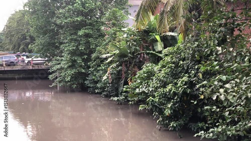 Lush Green Canal Through Nature. Verdant canal corridor enveloped by dense trees and foliage; peaceful nature scene highlighting waterways and greenery.