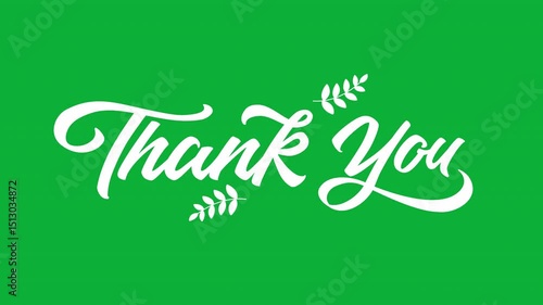 Animated thank you message on green screen background. White calligraphic text animation with decorative leaves for closing, gratitude, or appreciation visuals.
