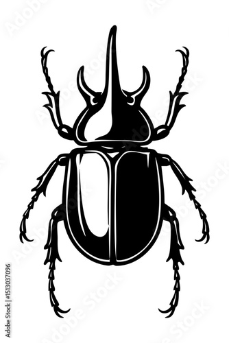 Rhinoceros Beetles Order Coleoptera