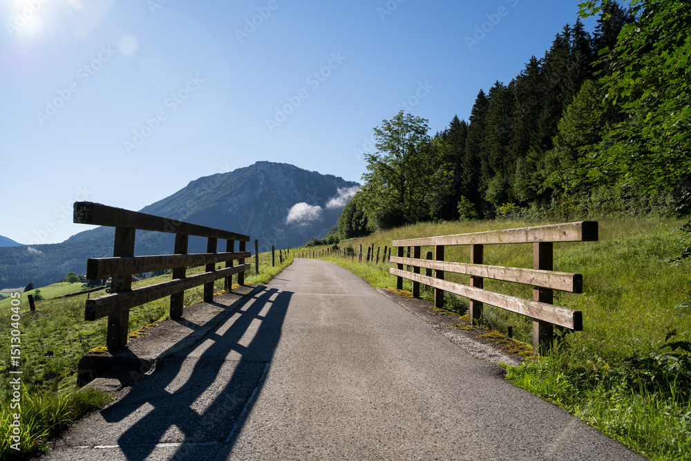 Fototapeta premium Mountain road with trees and grass in summer