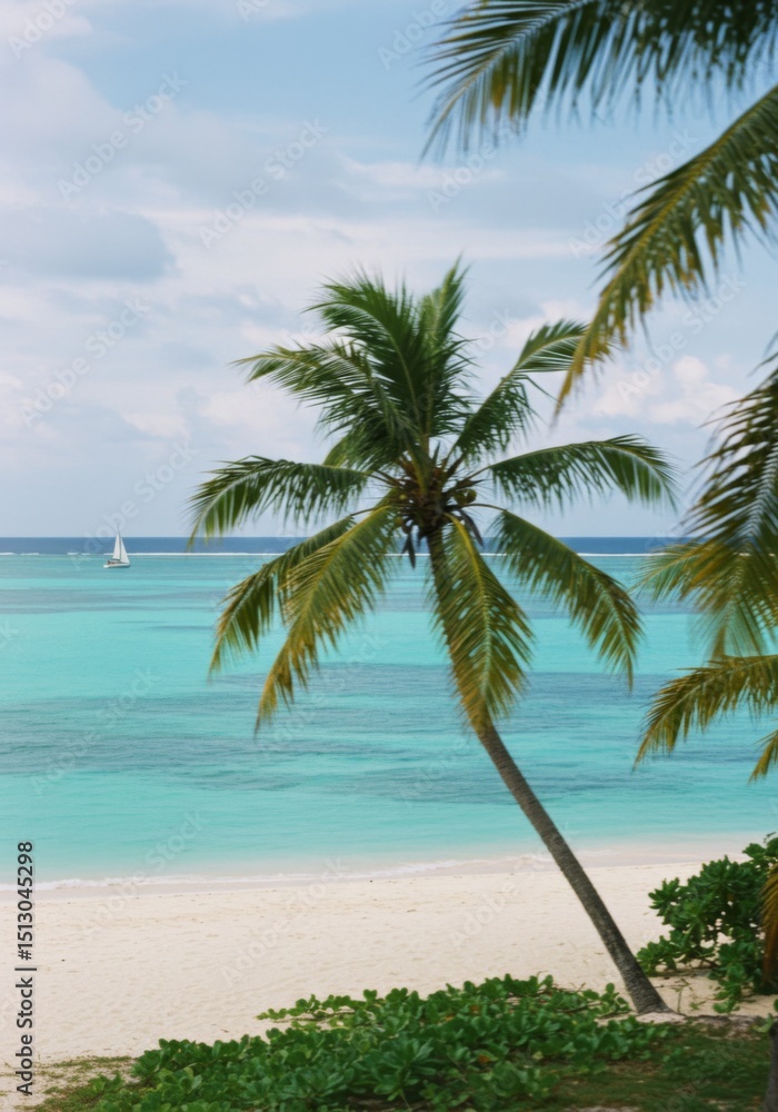 Obraz premium Tropical Beach Scene with Palm Tree and Turquoise Water