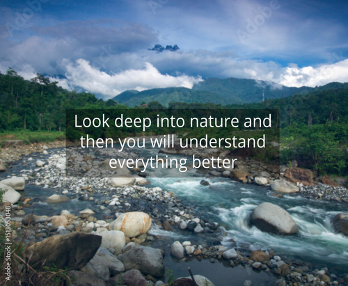 Nature’s Wisdom: Finding Clarity Through the Natural World