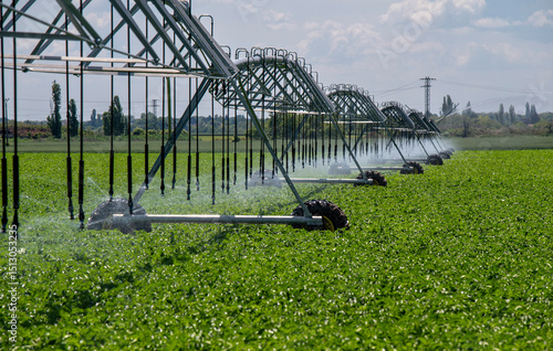 Center Pivot Irrigation System in potato agricultural field. Potato field irrigated by a pivot sprinkler system.