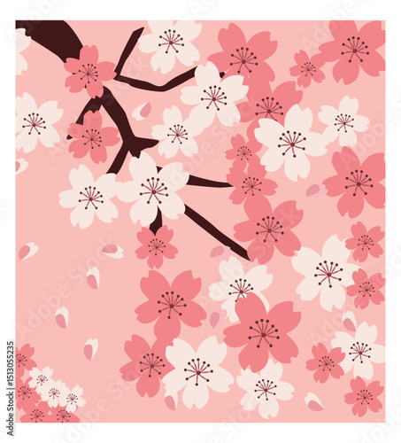 Elegant Cherry Blossom Festival Illustration Variations with Floral Details and Scenic Views-08