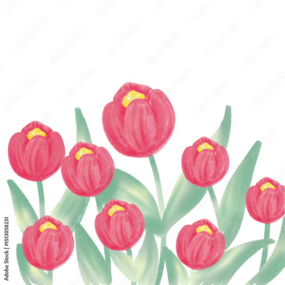 Fototapeta premium Tulipa love