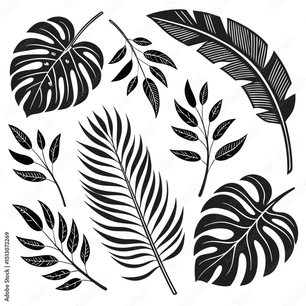 Obraz premium ropical leaves, palm leaves silhouettes, diverse collection, black shapes, leaf vector