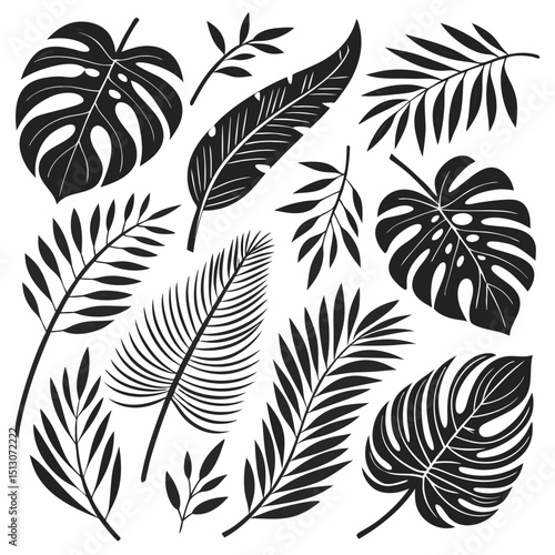 ropical leaves, palm leaves silhouettes, diverse collection, black shapes, leaf vector