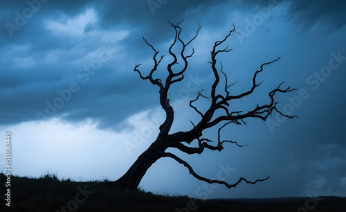 Silhouette of a Weathered Tree Against a Dramatic Stormy Sky