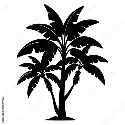 Silhouette of a tropical tree (likely a palm or banana tree) on a white background