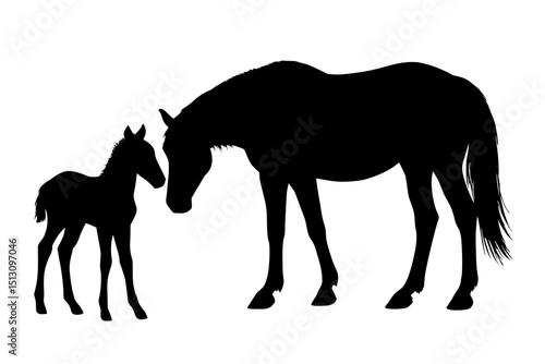 Mother horse and foal silhouette facing each other  