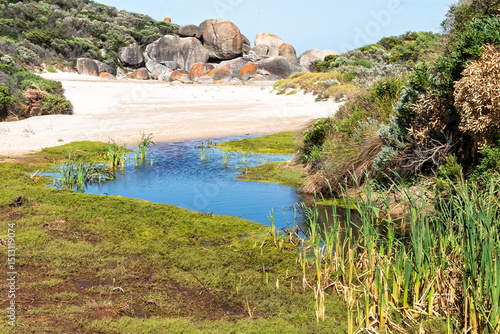 Native Bushland on Wilsons Promontory Peninsula, Victoria, Australia – Remote Wilderness in Coastal National Park