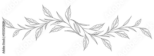 Line art vector sketch of a leaf. Vector eps