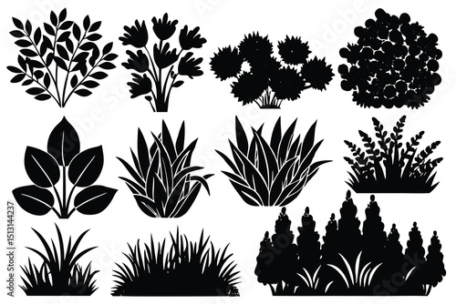 Collection of Black and White Silhouette Bush and Grass Illustrations