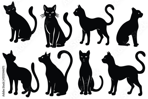 Collection of Elegant Black Cat Silhouettes  Perfect for Designs and Projects