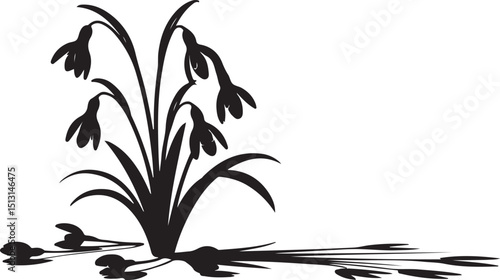 Snowdrop Flower Silhouette – Elegant Spring Bloom with Shadow Effect