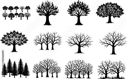 Simple black icons of various coniferous and deciduous trees, depicted as elegant silhouettes