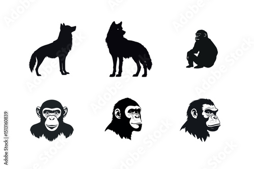 Wolf and chimpanzee silhouettes and portraits