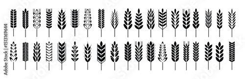 wheat grain icons wheats bread logo farm grains rye stalk symbol isolated icon