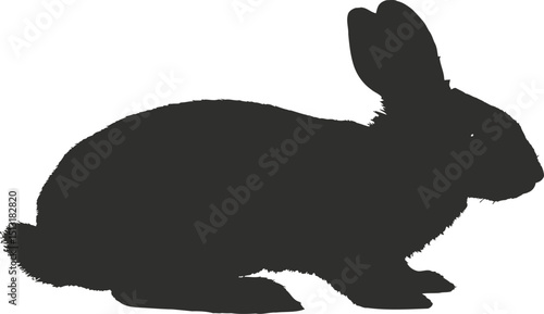 A dark rabbit sitting on a light background in side profile with its ears up and a fluffy tail visible