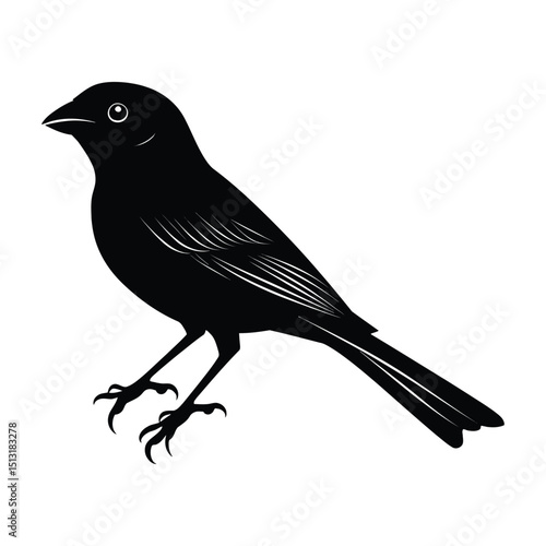 Sparrow silhouette vector art, icon, and graphic