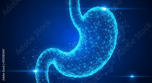 Stomach Network Illustration
