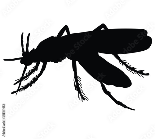 Cute cartoon hand drawn vector Mosquitoes silhouette.
