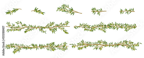 Olive branches, decorative lines, and frames with leaves. Elegant botanical elements perfect for wedding invitations, product packaging, branding, logos, and Mediterranean-themed designs.