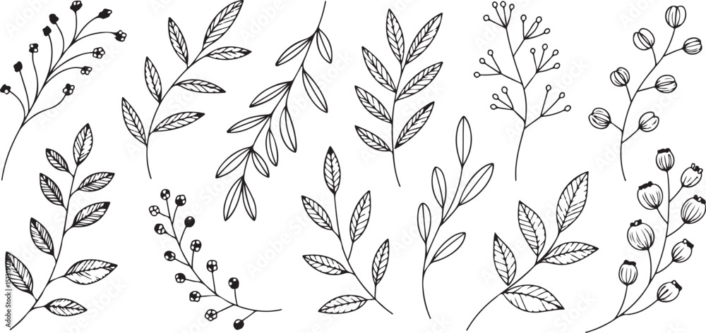 Fototapeta premium Leaf and Berry Branch Illustrations for Elegant Botanical Design Project