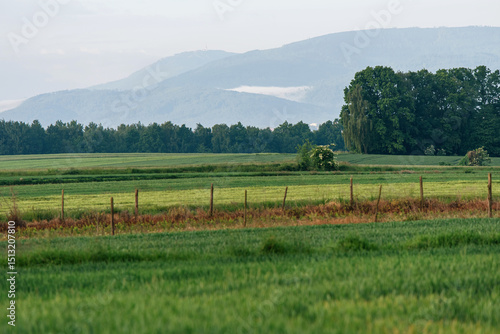 Fototapeta Naklejka Na Ścianę i Meble -  Widok na pola i Skrzyczne z Bestwiny, Śląsk. 