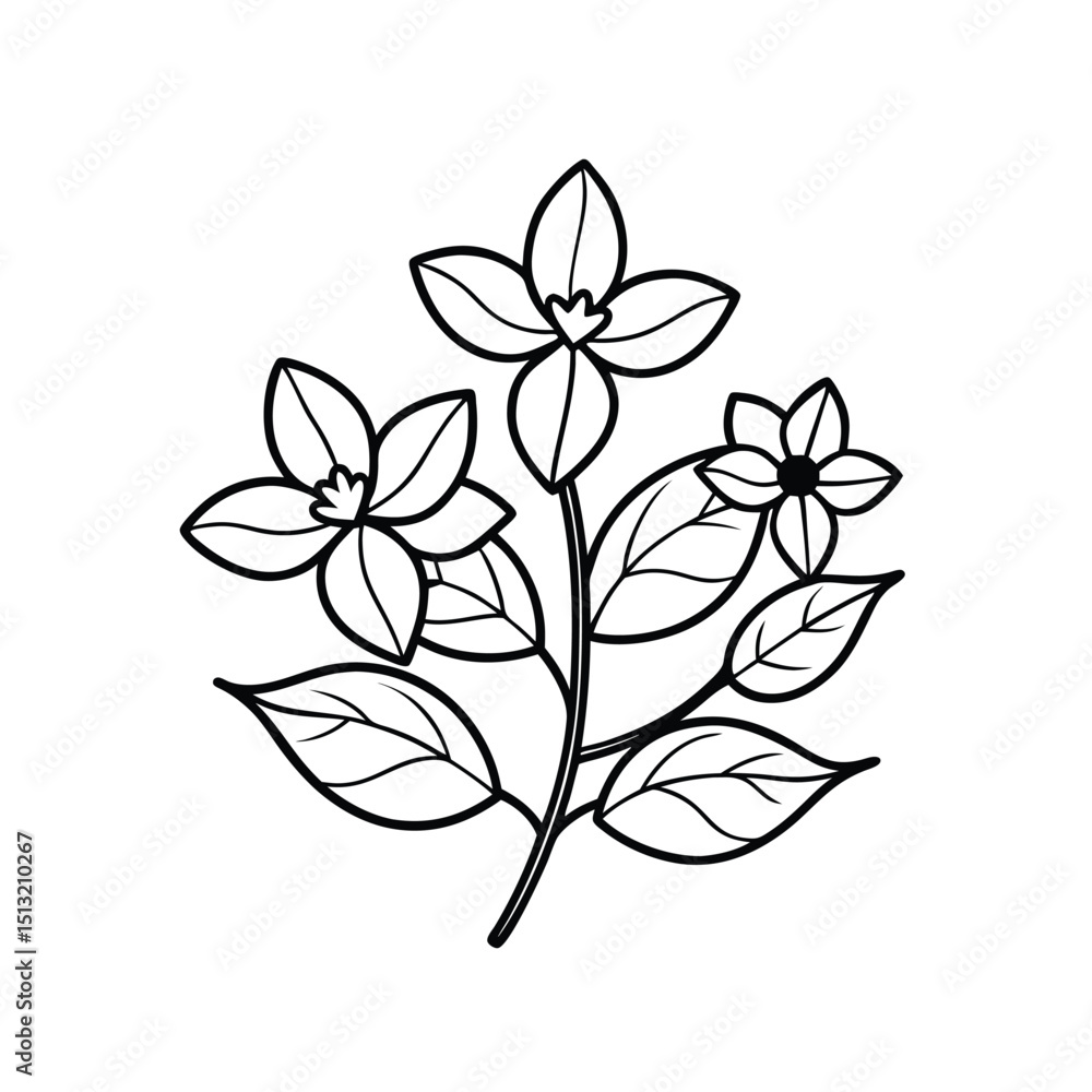 branch of a tree branch of a tree