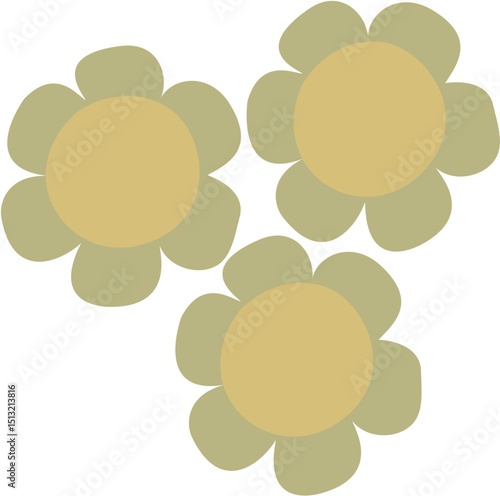 Acorus calamus, sweet flag flowers