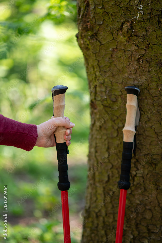 Fototapeta premium Female hand reaching for a walking pole leaning against a tree, symbolizing preparation for Nordic walking in nature
