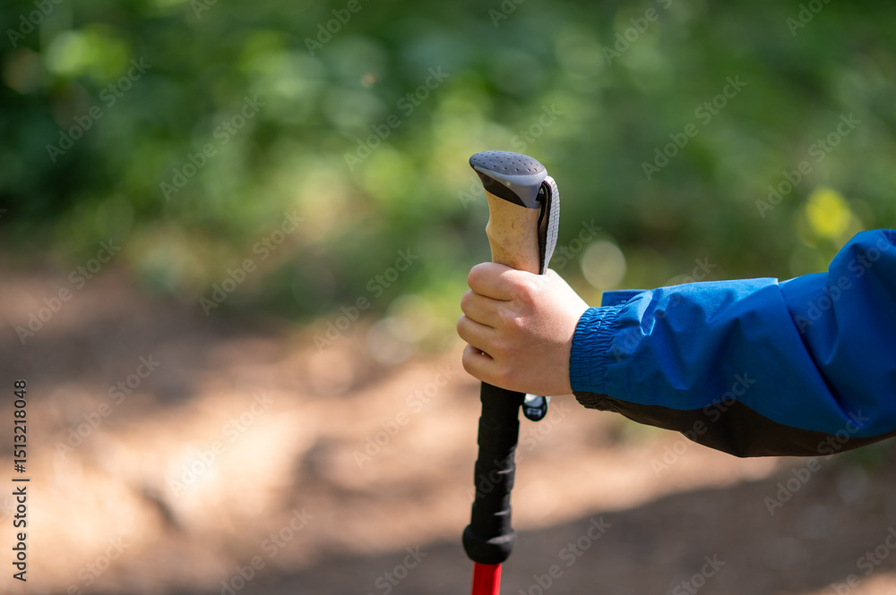 Fototapeta premium Child’s hand holding a Nordic walking pole during a forest walk, symbolizing early outdoor activity and connection with nature