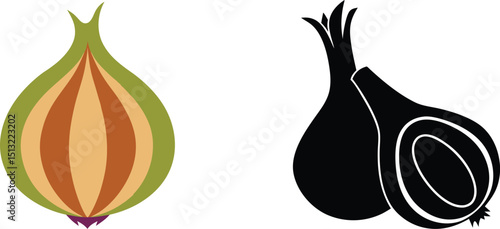 Onion vegetable illustration cross section and silhouette graphic food ingredient