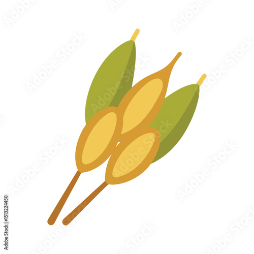 Vector illustration of rapeseed plant agriculture crop seeds green leaves