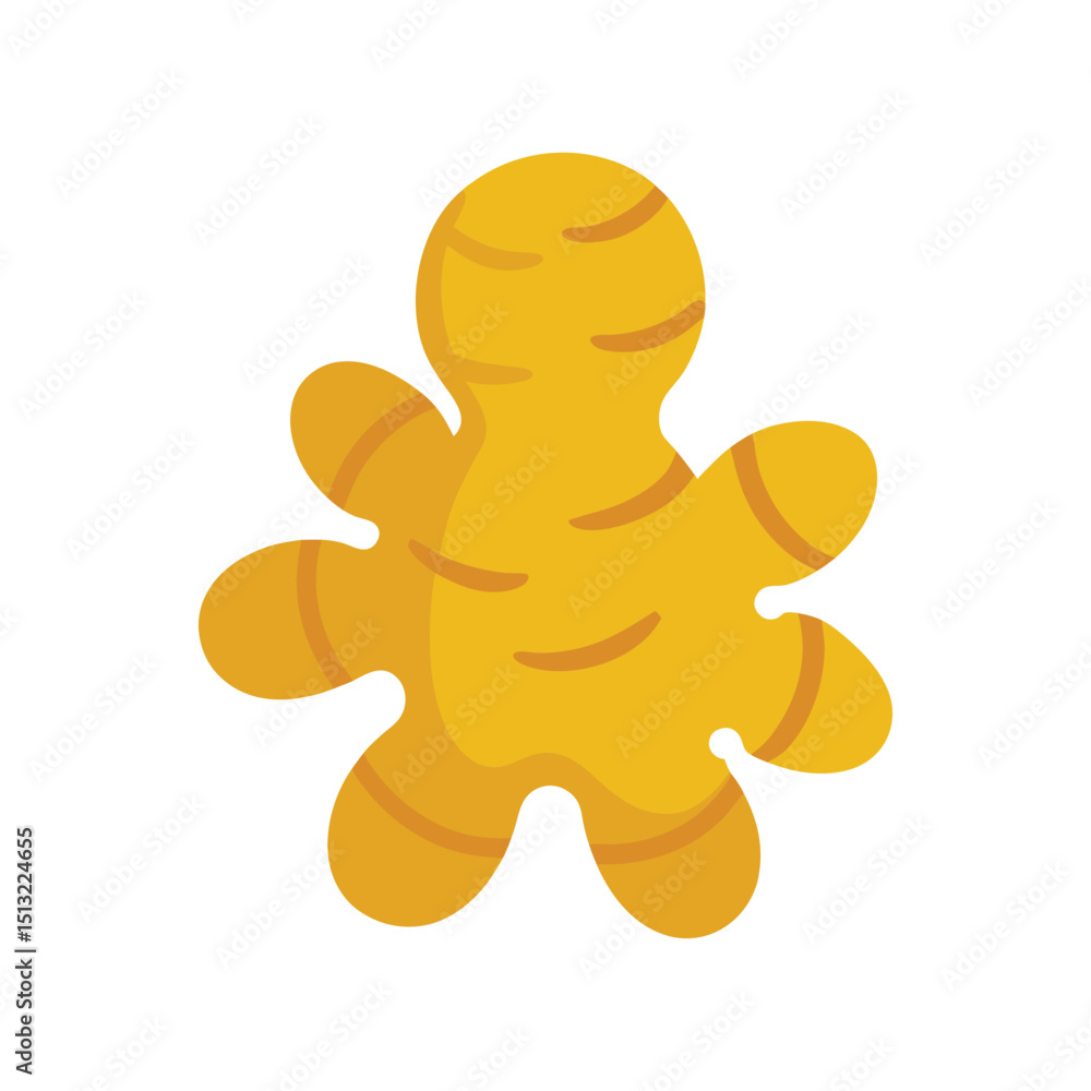 Fototapeta premium Simple isolated ginger root graphic illustration culinary ingredient element