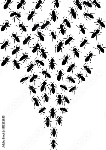 Flying ant swarm in V formation – scientific vector silhouette